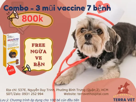 CHỮA BỆNH HÀNG TRIỆU ĐỒNG HAY PHÒNG BỆNH CHỈ TỪ 0 ĐỒNG?