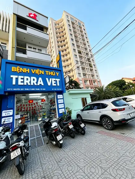 ĐỊA CHỈ