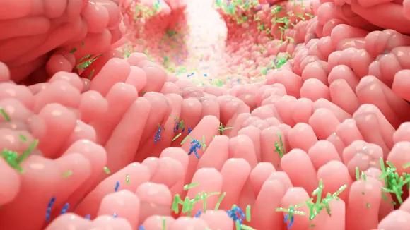 SỨC KHỎE ĐƯỜNG RUỘT - LÁ CHẮN QUAN TRỌNG