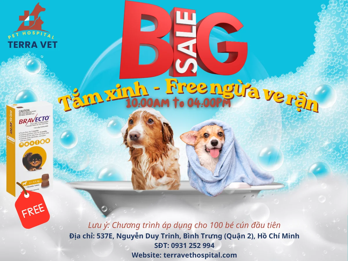 GIẢI PHÁP SPA THƠM THO LẠI ĐƯỢC TẶNG SẠCH VE RẬN FREE – TẠI SAO KHÔNG?