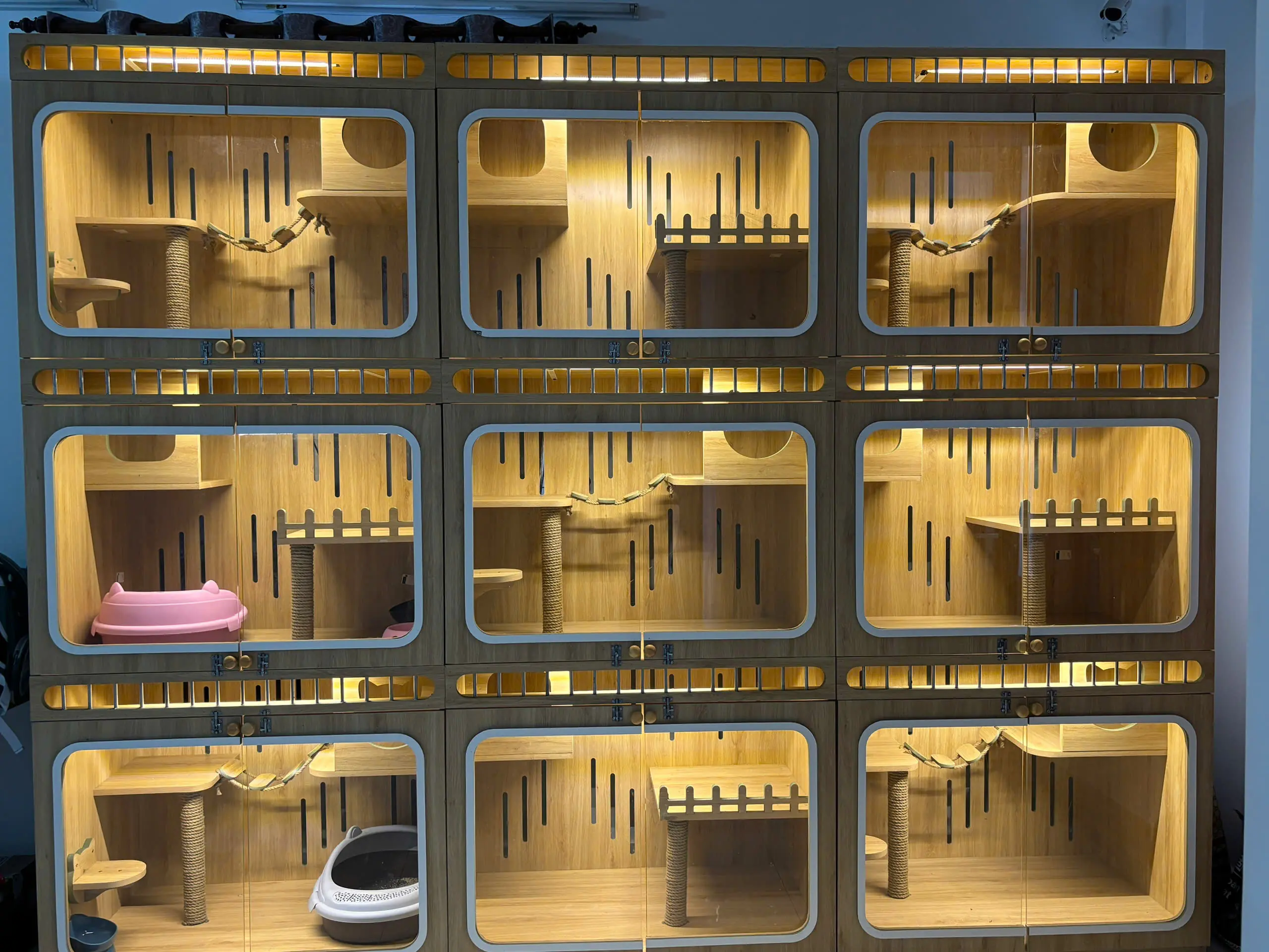 Grooming & Spa - Hotel Chó Mèo