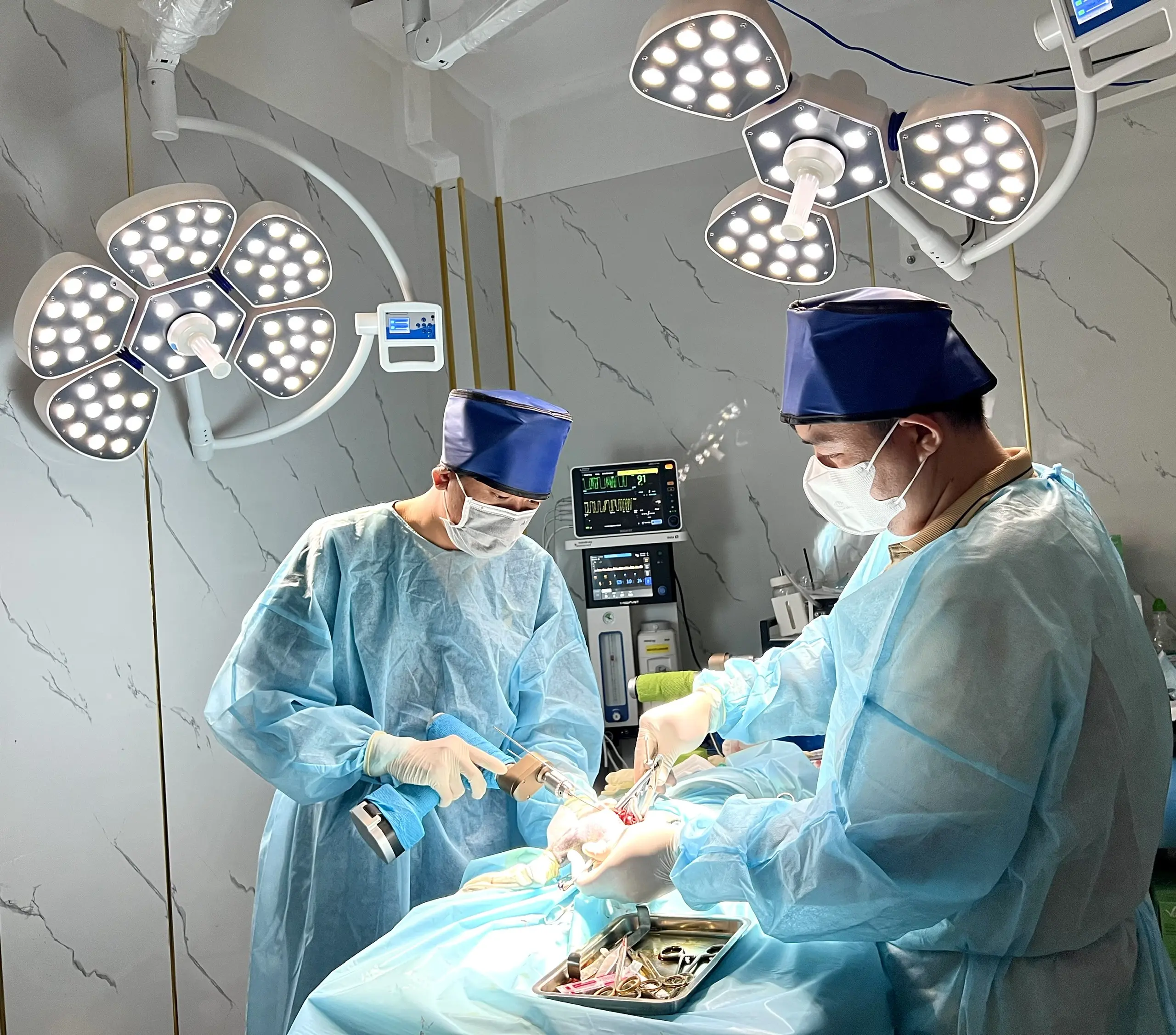 BỆNH VIỆN THÚ Y TERRAVET