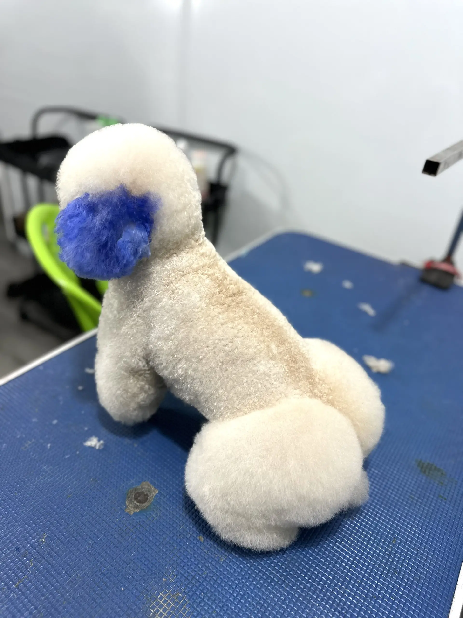 BỆNH VIỆN THÚ Y TERRAVET